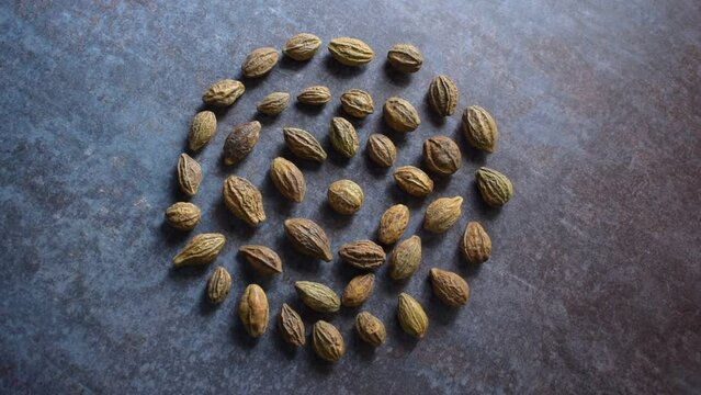 Raw whole dried Terminalia chebula fruit
