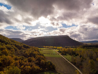 Forests in autumn with the drone.