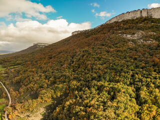 Forests in autumn with the drone.