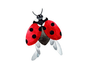 Hand painted watercolor illustration of a red ladybug insect with open wings. Isolated object on white background.
