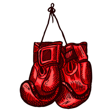 Red boxing gloves sketch hanging in isolated white background. Vintage sporting equipment for kickboxing in engraved style.