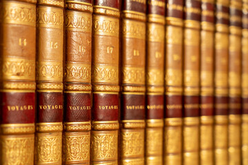 Row of old books in leather binding with gilded spines, travel collection with perspective bokeh