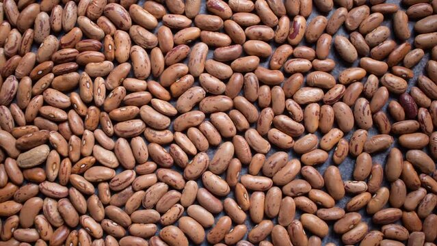 Raw whole dried speckled kidney beans