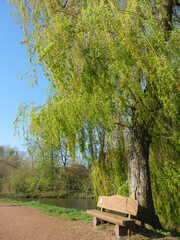 Obraz premium Wassermühle in Metelen im Münsterland