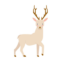 Deer illustration. Cute reindeer vector illustration, isolation on white background. Wild forest animal for kids design