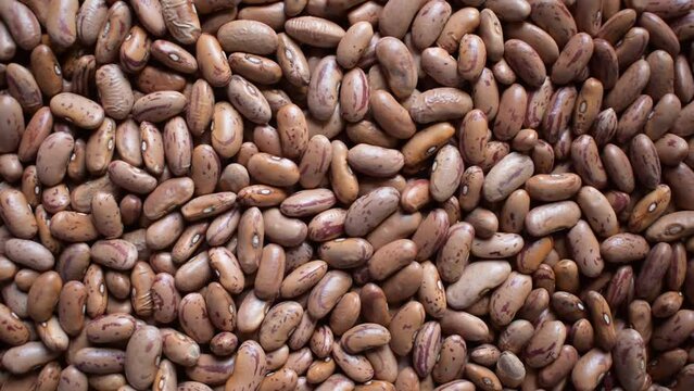 Raw whole dried speckled kidney beans