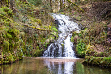Cascade dans les Vosges