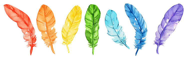 Set of rainbow bird feathers isolated on white. Watercolor illustration. Perfect for wedding invitations, cards, tickets, congratulations, branding, logo label, emblem.