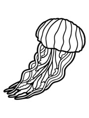 Schöne Qualle Comic 