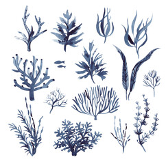 A set of watercolor drawings depicting indigo algae. Plant pattern. - obrazy, fototapety, plakaty
