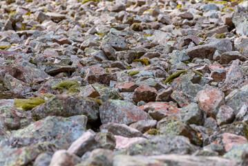Champe de pierre avec de la mousse. Roches de granit sur un grand espace. Texture et fond d'écran utilisable pour différentes ressources.