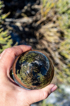 Retama del Teide con nieve reflejado en una lensball en el Parque Nacional del Teide, isla de Tenerife