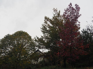 Ochagavia municipio navarro en el valle de Salazar. España.