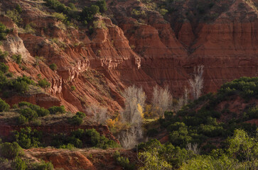 It's the end of autumn and a few trees still hold on to their fall color at Caprock Canyons State...