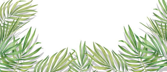 Naklejka na ściany i meble Exotic horizontal border, green plant in watercolor. Tropical leaves, palm leaf, bamboo. Isolated on a white background. Suitable for design, invitations, wallpapers, weddings, packaging