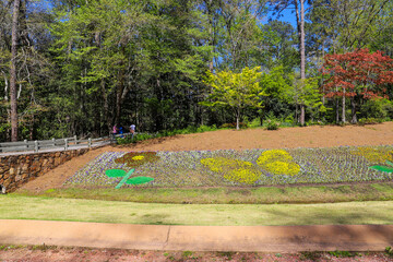 colorful flowers in the shape of butterflies and flowers on a hillside surrounded by lush green...