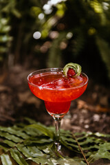 Red Handcrafted Cocktail food photography