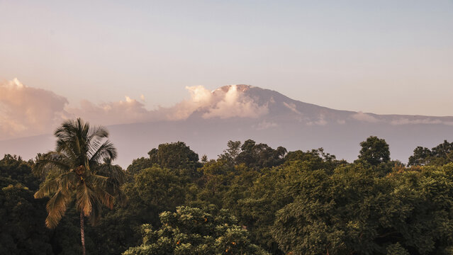 Mount Kilimanjaro above the clouds in Arusha Tanzania