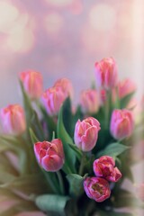 Przepiękny bukiet z różowych tulipanów w przepięknym świetle - obrazy, fototapety, plakaty