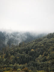 Montagnes dans le brouillard