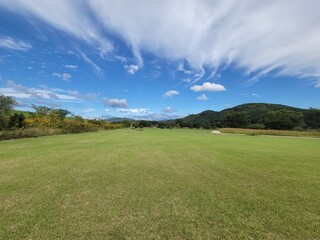 field and blue sky