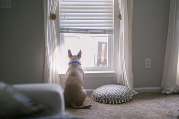 Just Taking The World In