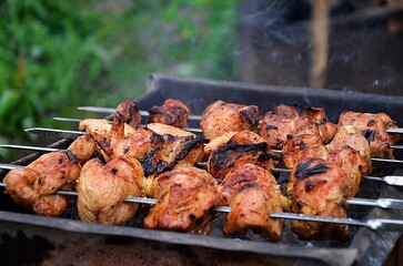 shish kebab on the grill