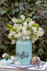 Vogelkirsch-Strauß in vintage Milchkanne im Garten