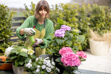 Young woman taking care of flowers in the garden. Cheerful housewife in apron spraying hydrangea...