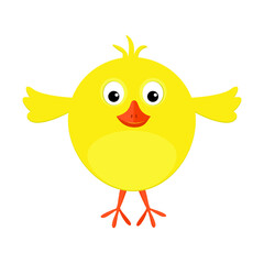 Easter chicken isolated on a white background