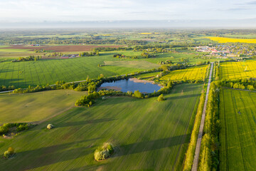Fototapeta premium Blue Lake in Middle of Yellow Rapeseed Fields, Aerial View from Above on Sunny Evening.