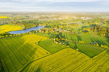 Fototapeta premium Rural Countryside Rapeseed Fields from Above in Sunny Spring Evening