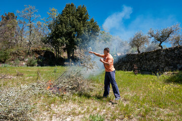 Jovem trabalhador a queimar a rama de oliveira, restos da limpa das oliveiras
