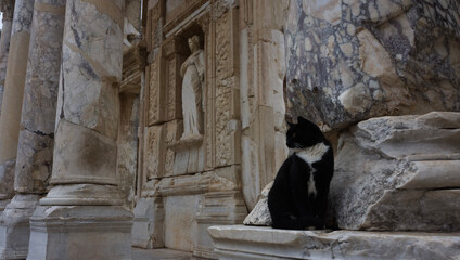Black cat sitting on the marble pedestal in antique ruins