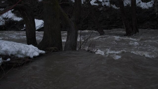 une rivi&egrave;re au printemps