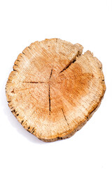 Wooden saw cut of a tree with a pronounced pattern of annual rings on a white background