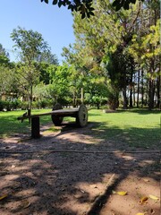 bench in the park