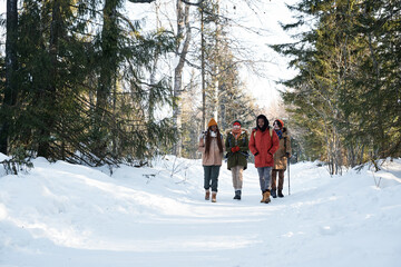 Long shot of multi-ethnic group of young men and women enjoying hiking in mountains on sunny winter...