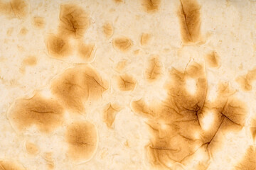 pitta bread. Close-Up Of Pita Bread Over White Background. Flatbreads on wooden table. Piadina, italian tortilla.
