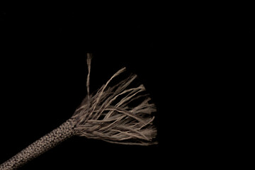 Close up macro shot of a frayed shoe lace texture isolated on black with copy space - obrazy, fototapety, plakaty