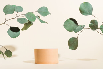 Cylinder shape podium with eucalyptus leaves and shadows, display for cosmetic, perfume and product...