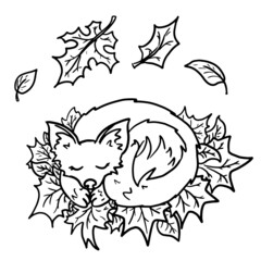 Sleeping fox vector illustration isolated on white background