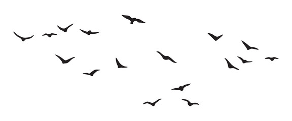 Flying Birds Group Vector Silhouette - 500106416