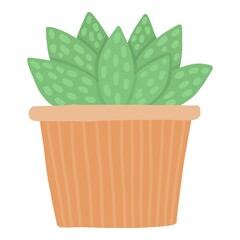 Tropical house plant pot. Ficus, monstera, protea, pellaea, succulent in various pot, vase. Scandinavian cozy home decor. Flat vector cartoon illustration isolated on white background