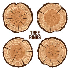 Round tree trunk cuts with cracks, sawn pine or oak slices, lumber. Saw cut timber, wood. Brown wooden texture with tree rings. Hand drawn sketch. Vector illustration © 32 pixels