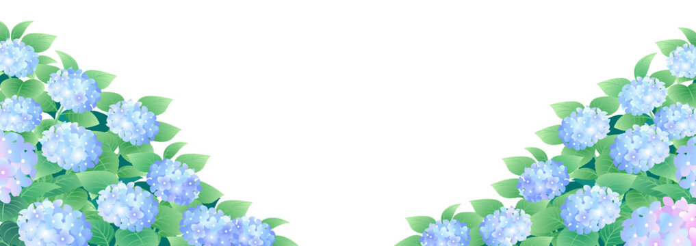 紫陽花背景 の画像 103 461 件の Stock 写真 ベクターおよびビデオ Adobe Stock