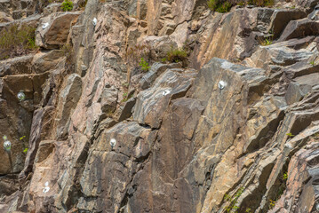Bolts securing loose rock along a road.
