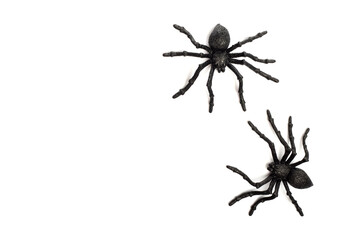 Two black rubber spider toys isolated on a white background with copy space. Fake black spider toys