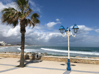 seafront, palm tree and lamppost