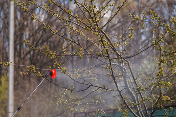 Spring treatments of trees with pesticides, pest control.
